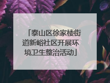 泰山区徐家楼街道新峪社区开展环境卫生整治活动