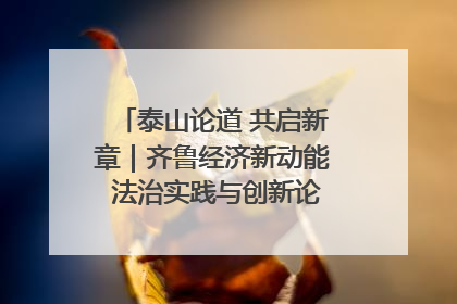 泰山论道 共启新章｜齐鲁经济新动能 法治实践与创新论坛成功举办