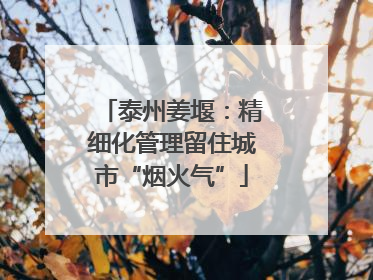 泰州姜堰：精细化管理留住城市“烟火气”