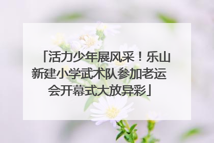 活力少年展风采！乐山新建小学武术队参加老运会开幕式大放异彩