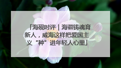 海砚时评｜海疆铸魂育新人，威海这样把爱国主义“种”进年轻人心里