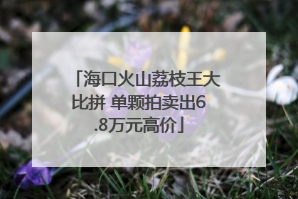海口火山荔枝王大比拼 单颗拍卖出6.8万元高价