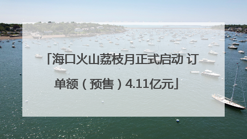 海口火山荔枝月正式启动 订单额（预售）4.11亿元