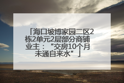 海口坡博家园二区2栋2单元2层部分商铺业主：“交房10个月未通自来水”