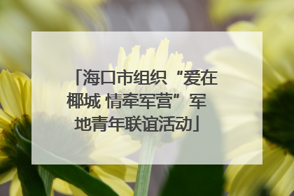 海口市组织“爱在椰城 情牵军营”军地青年联谊活动
