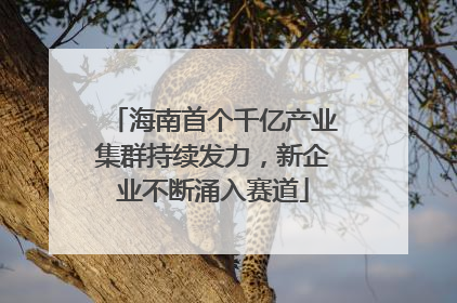 海南首个千亿产业集群持续发力，新企业不断涌入赛道
