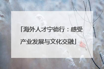 海外人才宁德行：感受产业发展与文化交融
