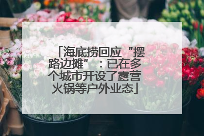海底捞回应“摆路边摊”：已在多个城市开设了露营火锅等户外业态