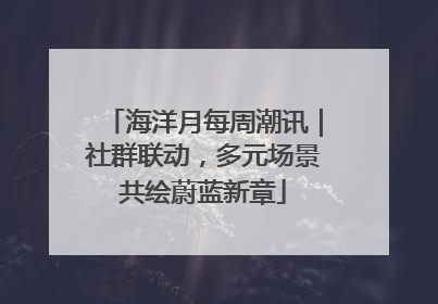 海洋月每周潮讯｜社群联动，多元场景共绘蔚蓝新章
