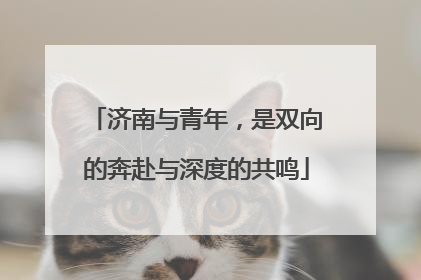 济南与青年，是双向的奔赴与深度的共鸣