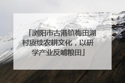 浏阳市古港镇梅田湖村赓续农耕文化，以研学产业反哺粮田
