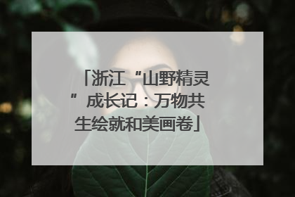 浙江“山野精灵”成长记：万物共生绘就和美画卷