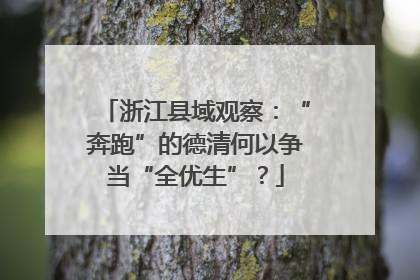 浙江县域观察：“奔跑”的德清何以争当“全优生”？