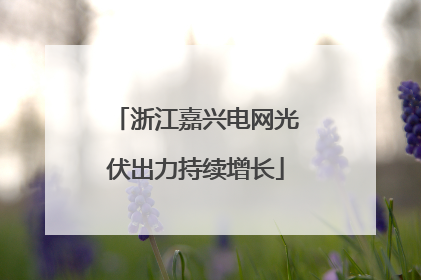 浙江嘉兴电网光伏出力持续增长