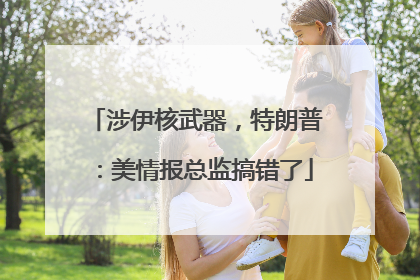 涉伊核武器，特朗普：美情报总监搞错了