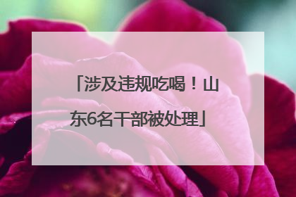 涉及违规吃喝！山东6名干部被处理