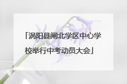涡阳县闸北学区中心学校举行中考动员大会