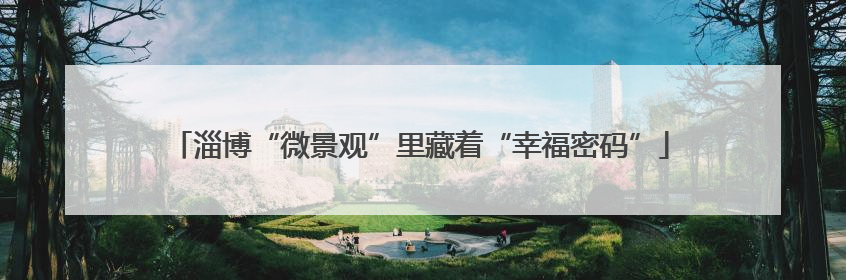 淄博“微景观”里藏着“幸福密码”