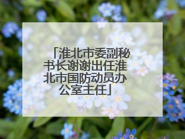淮北市委副秘书长谢谢出任淮北市国防动员办公室主任