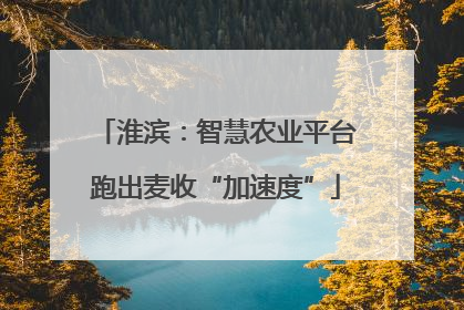 淮滨：智慧农业平台跑出麦收“加速度”