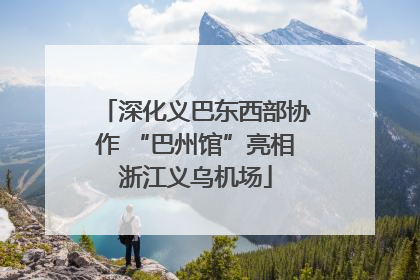 深化义巴东西部协作 “巴州馆”亮相浙江义乌机场