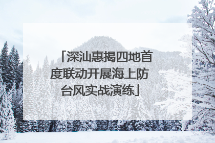 深汕惠揭四地首度联动开展海上防台风实战演练