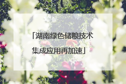 湖南绿色储粮技术集成应用再加速