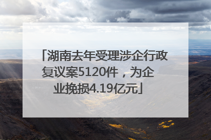 湖南去年受理涉企行政复议案5120件，为企业挽损4.19亿元