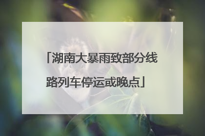 湖南大暴雨致部分线路列车停运或晚点