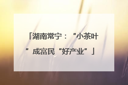 湖南常宁：“小茶叶”成富民“好产业”