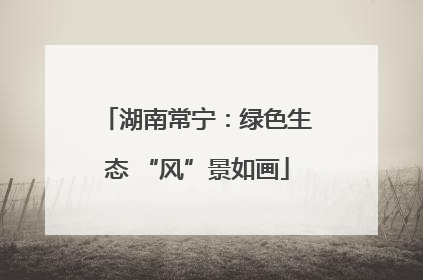 湖南常宁：绿色生态 “风”景如画