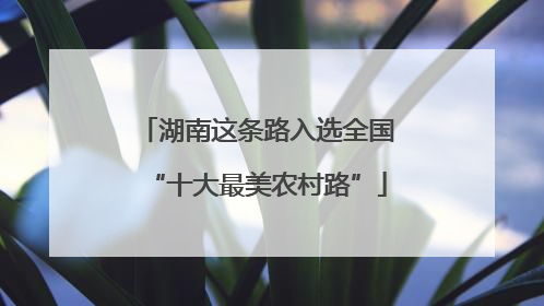 湖南这条路入选全国“十大最美农村路”
