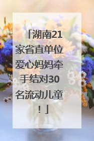 湖南21家省直单位爱心妈妈牵手结对30名流动儿童！