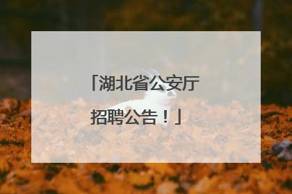 湖北省公安厅招聘公告！