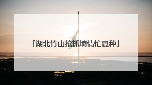 湖北竹山抢抓墒情忙夏种
