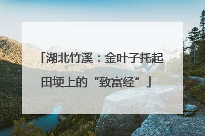 湖北竹溪：金叶子托起田埂上的“致富经”