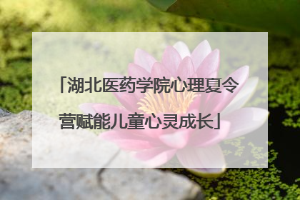 湖北医药学院心理夏令营赋能儿童心灵成长