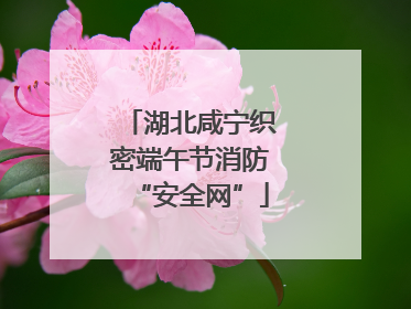湖北咸宁织密端午节消防“安全网”