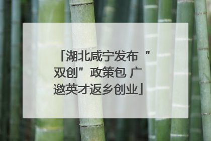 湖北咸宁发布“双创”政策包 广邀英才返乡创业