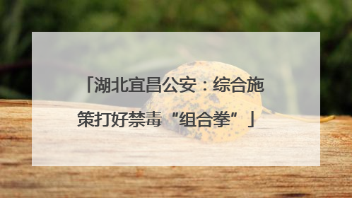湖北宜昌公安：综合施策打好禁毒“组合拳”