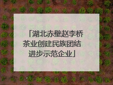湖北赤壁赵李桥茶业创建民族团结进步示范企业