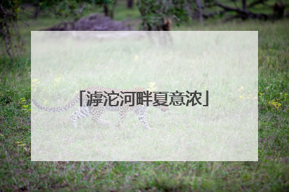 滹沱河畔夏意浓