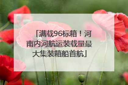 满载96标箱！河南内河航运装载量最大集装箱船首航