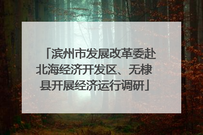 滨州市发展改革委赴北海经济开发区、无棣县开展经济运行调研