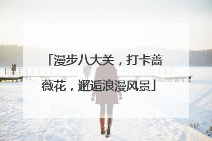 漫步八大关，打卡蔷薇花，邂逅浪漫风景