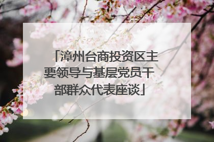 漳州台商投资区主要领导与基层党员干部群众代表座谈