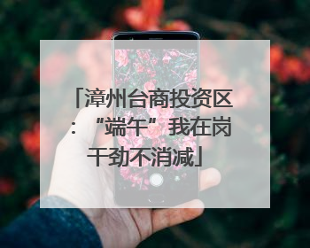 漳州台商投资区：“端午”我在岗 干劲不消减