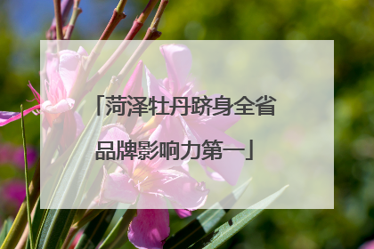 菏泽牡丹跻身全省品牌影响力第一