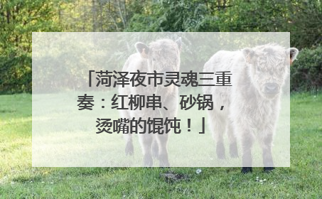 菏泽夜市灵魂三重奏：红柳串、砂锅，烫嘴的馄饨！