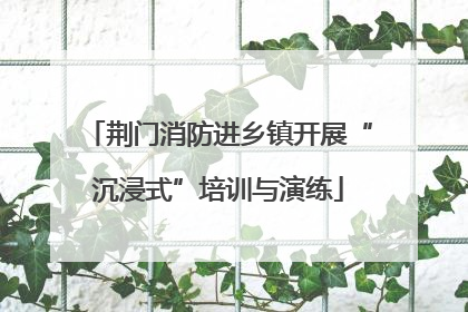 荆门消防进乡镇开展“沉浸式”培训与演练
